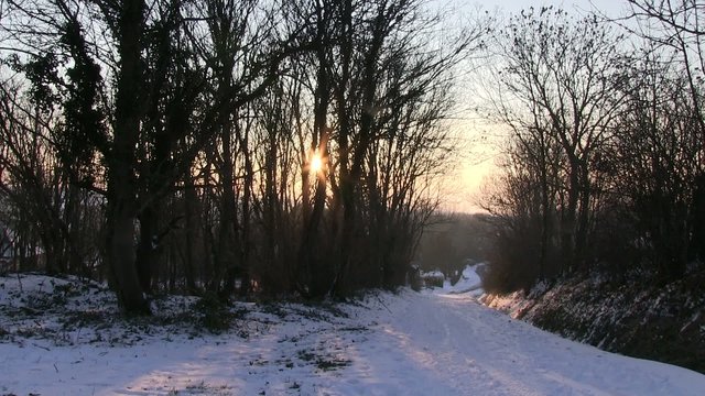paysage sous la neige
