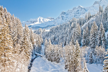 Beautiful view to snow forest in Alps, Adelboden