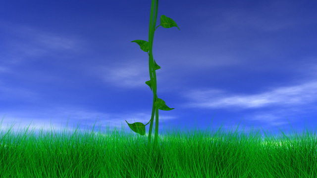 Jack and the Beanstalk