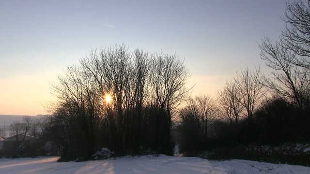 paysage d'hiver