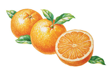 Orangen