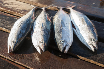 Fresh Fish