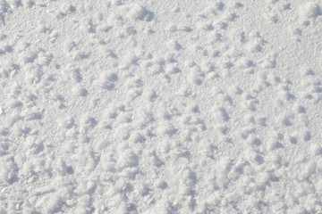 Snow texture.