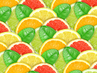 Background with motley citrus slices and green leaf
