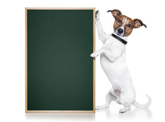 dog with blackboard vertical