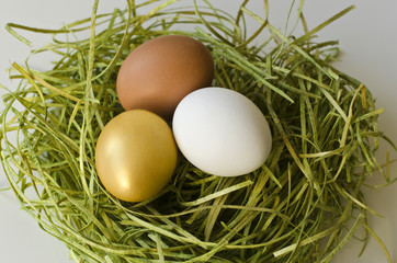 Drei Eier im Gras (braun, weiß, gold)