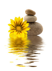 Fototapeta na wymiar spa stones with yellow flower