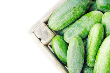 Green cucumber