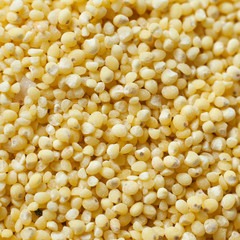 Pilled millet seeds as texture