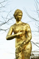 Zelfklevend Fotobehang Golden Classic Sculpture © vali_111