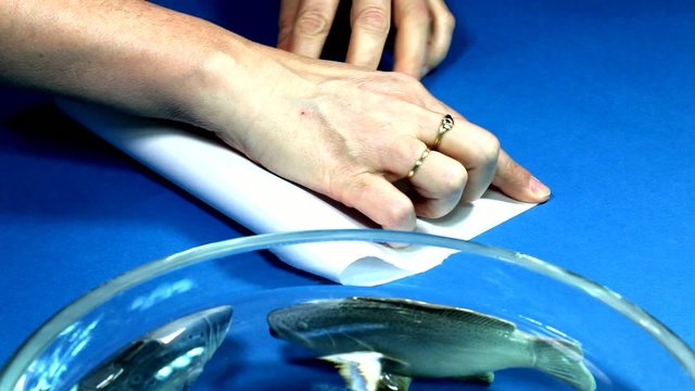 Boot aus Papier falten