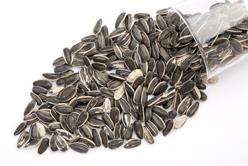 sunflower seed pour out from a glass cup