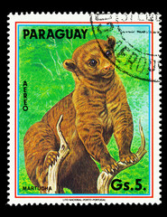 PARAGUAY- CIRCA 1989
