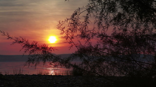 Beautiful sunset over lake shore dollying past tree, Sea of Galilee in Israel.