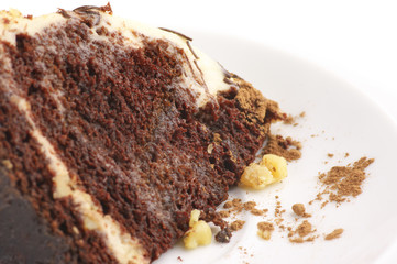 Chocolate cake close-up