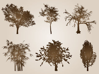 Fototapeta premium High resolution set of vintage old trees
