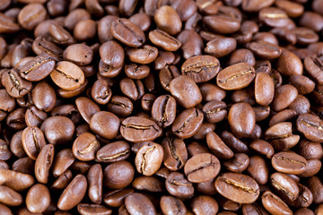 background from coffee beans
