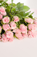 Pink roses