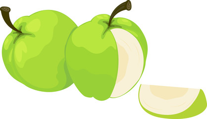 illustration of guava