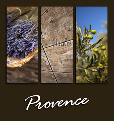 Provence, carte postale, sud, France, olivier, lavande