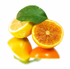 fresh lemon and orange pulp
