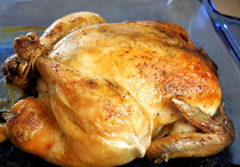 Oven Roasted Chicken