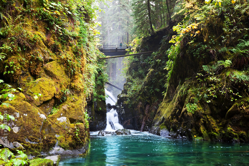 Poster sol duc