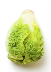 Fototapeta premium Baby Lettuce isolated on white