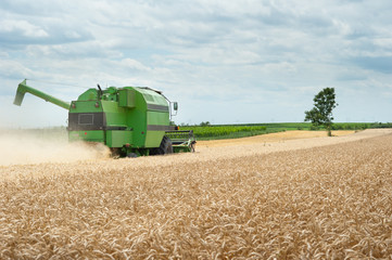 Obraz premium combine harvester