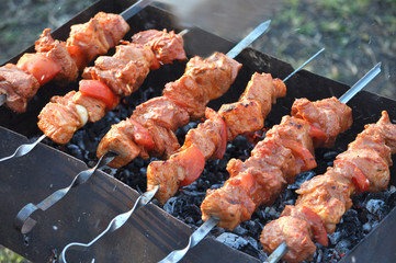 Hot fryied meat
