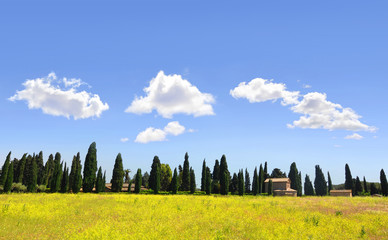 Tuscan landscape with yellow rapeseed and cypress trees