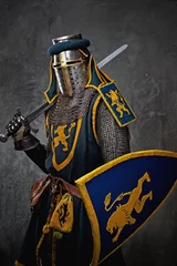 Middeleeuwse ridder op grijze achtergrond. © Nejron Photo