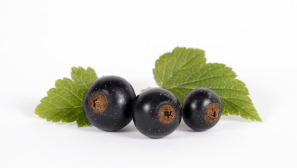 Blackcurrants with green leaves on the withe background