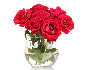 Beautiful red roses in a vase isolated on white