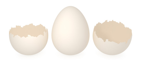 Eggshell.