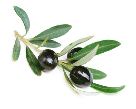 Olives over white