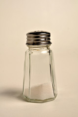 Salt Shaker