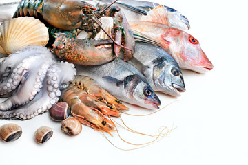 Fresh catch of fish and other seafood - obrazy, fototapety, plakaty