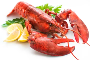 Acrylic prints Sea Food Lobster