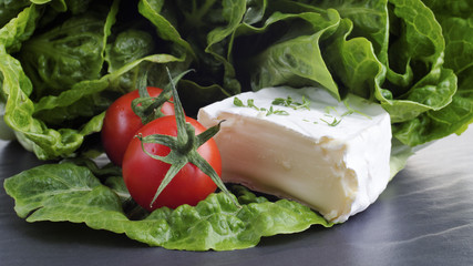 camembert 6