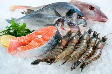 Printed kitchen splashbacks Fish Seafood on ice