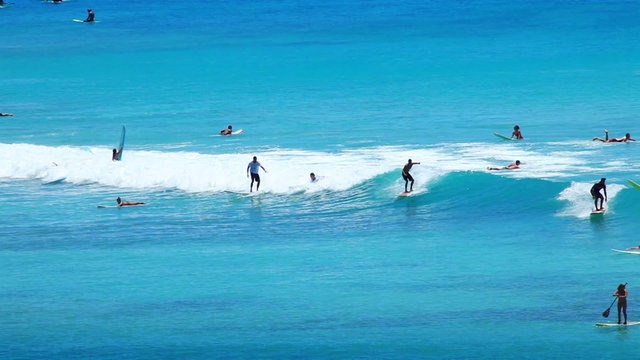 Surfers at Tropical Beach Paradise