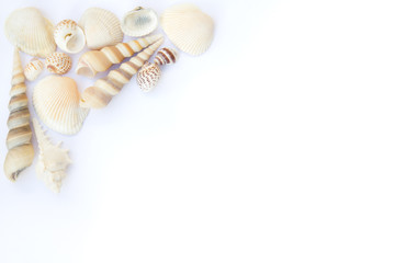 Seashells frame