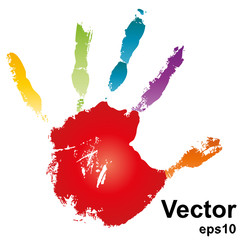 Vector hand painted on white background