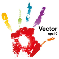 Vector hand painted on white background