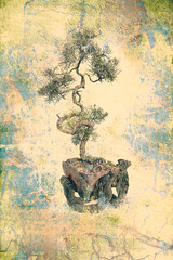 bonsai tree on grungy textured old paper