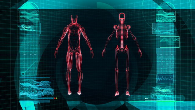 Digital X-Ray Scan of Human Body (HD)