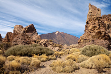 Teide National Park. Tenerife. Canary Islands