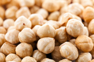 Raw hazelnuts