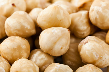 Raw hazelnuts